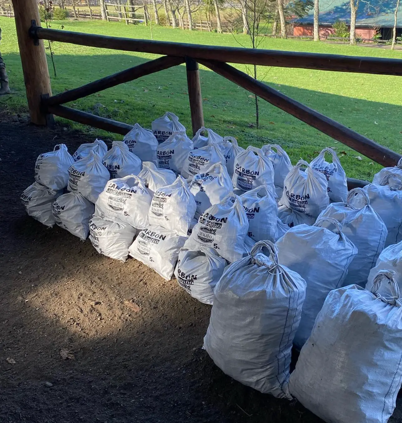 Sacos de carbón premium para asado en Frutillar y Puerto Varas, quebracho blanco y espino